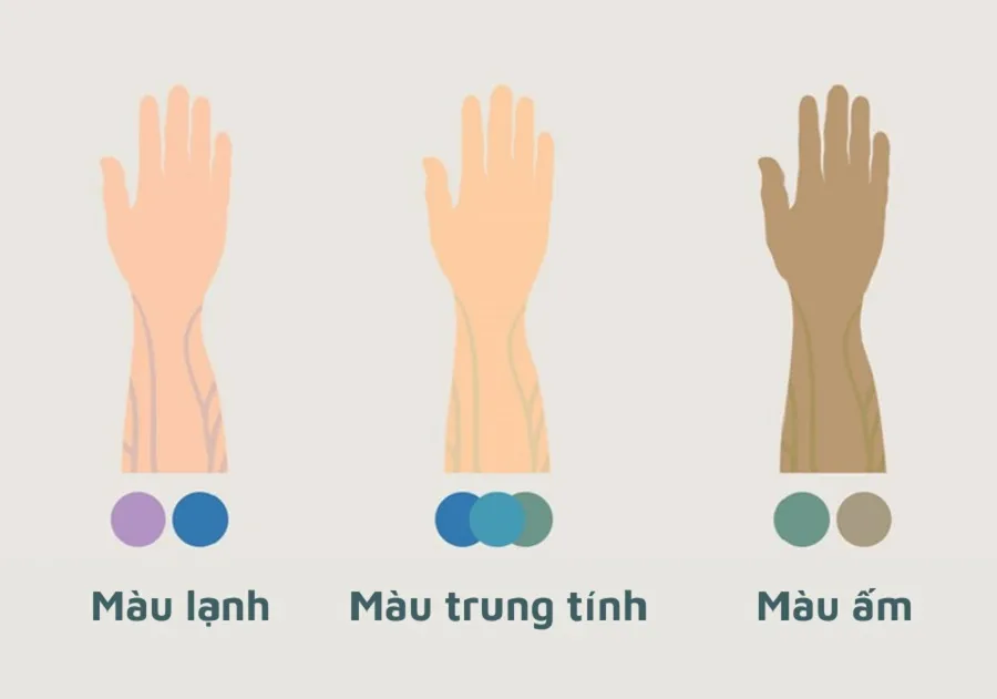 Da Ngăm Nên Mặc Màu Gì? Top Màu Sắc Phù Hợp Nhất