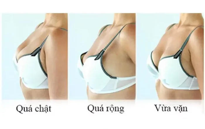 Tại Sao Chọn Size Áo Lót Nữ Theo Cân Nặng Vô Cùng Quan Trọng?